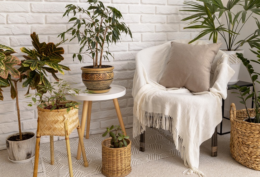 Keeping it real: how to tend to indoor plants