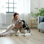 Managing pet-separation anxiety and boredom