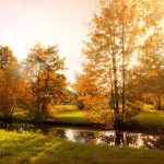 How to prepare your autumn garden